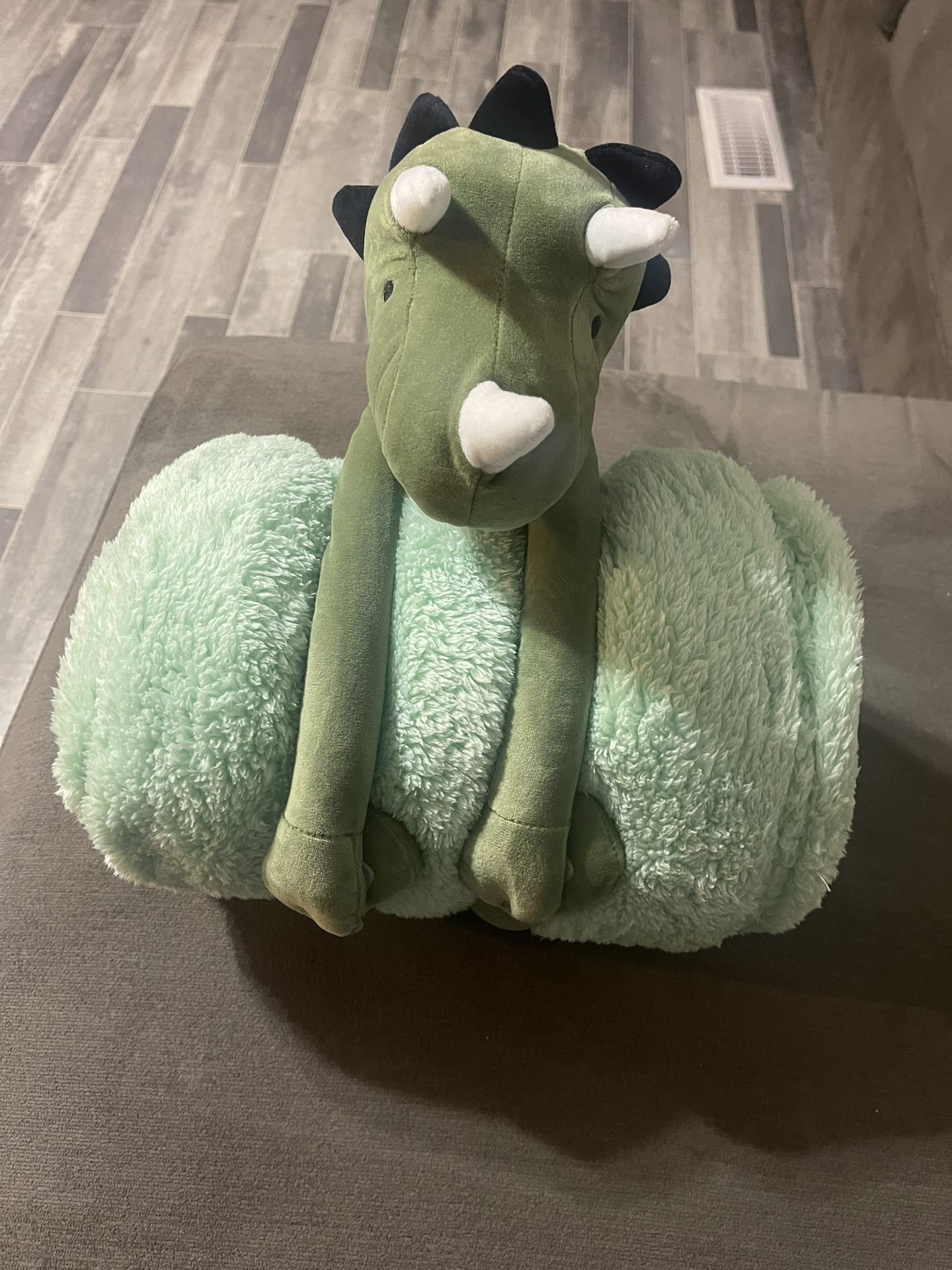 dino blanket