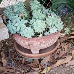 3 Bags Of Free Women's Clothes/Shoes