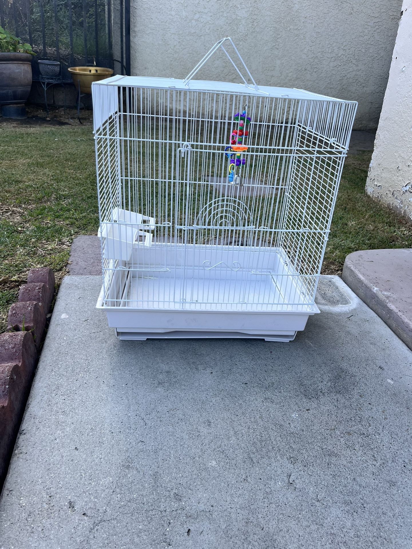 Bird Cage