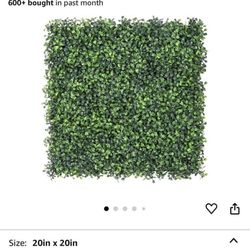 Grass Backdrop