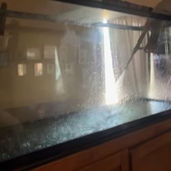 175 gallon fish tank