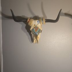 Authentic Bull Skull
