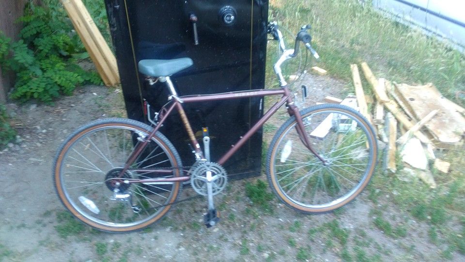 Schwinn mirada