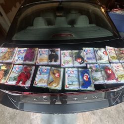Rare TY Beanie Baby Collection 