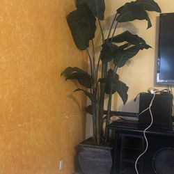 Big Fake Plant 