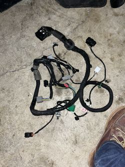 Ford Focus Driver Side Harness