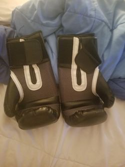 Everlast 16 oz training gloves