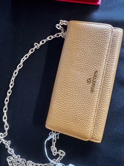 Valentino Purse