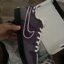 Nike SB Dunk Low Purple Lobster