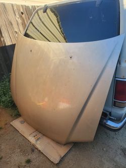 Honda Accord Hood