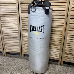 Everlast Punching Bag