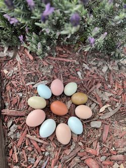 Farm Fresh Eggs 🍳  Hand Picked Everyday 