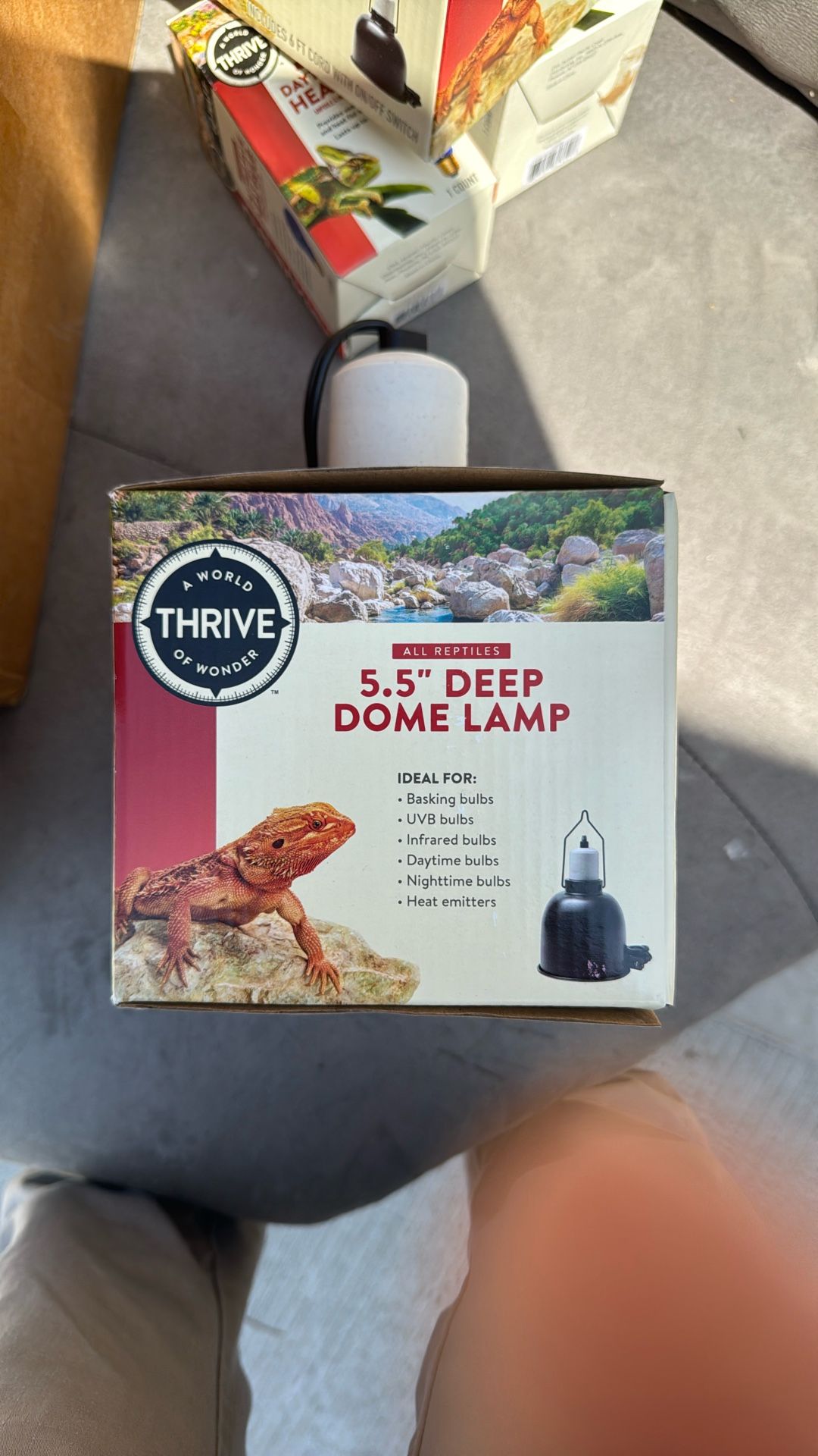 Lamp Comes With A Bulb