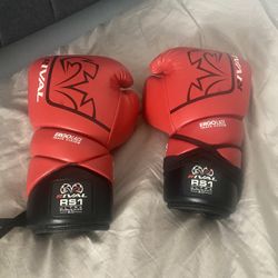 Rival Boxing Gloves 