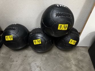 TRX Med Balls