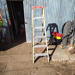 6 Foot Ladder 