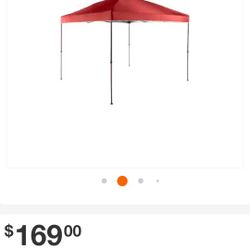 Canopy 10x10