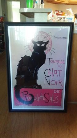 Cat noir framed picture