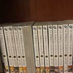 The Promise Land