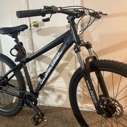 Ozark Trail Bike
