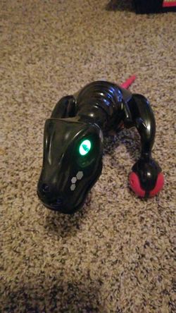 Zoomer Raptor