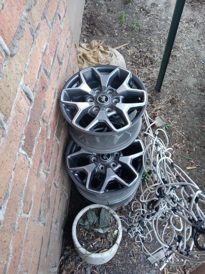 2025 Ford Bronco Rims