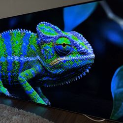 LG OLED 2019