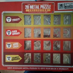 20 Metal Puzzle Challenge 
