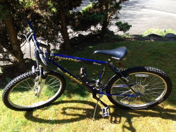 tricycle for kids under 1000