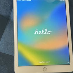 iPad 5th Gen with Cellular 32g A1824