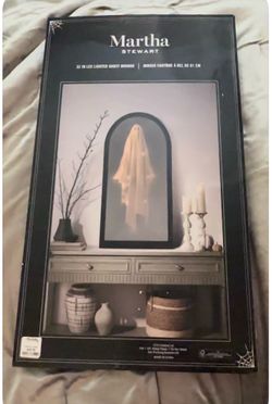 Martha Stewart Ghost mirror