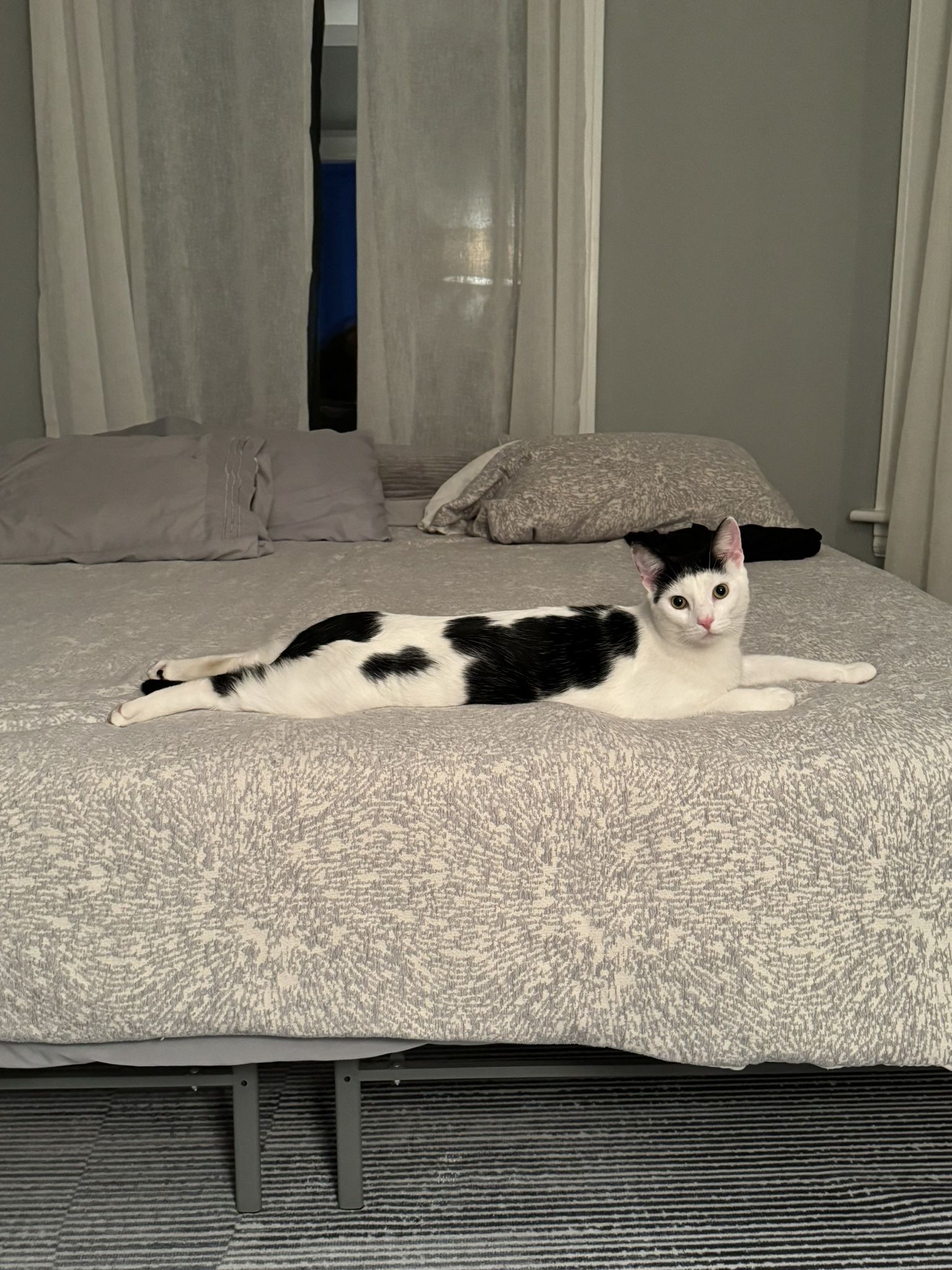 Coolsense King Mattress