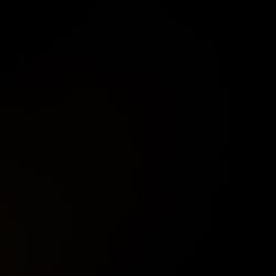 maltese puppy (boy), reply for photos