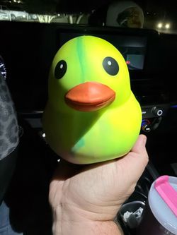 Squishy Duck