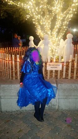 Disney Descendants Evie Costume Size 10-12 $15