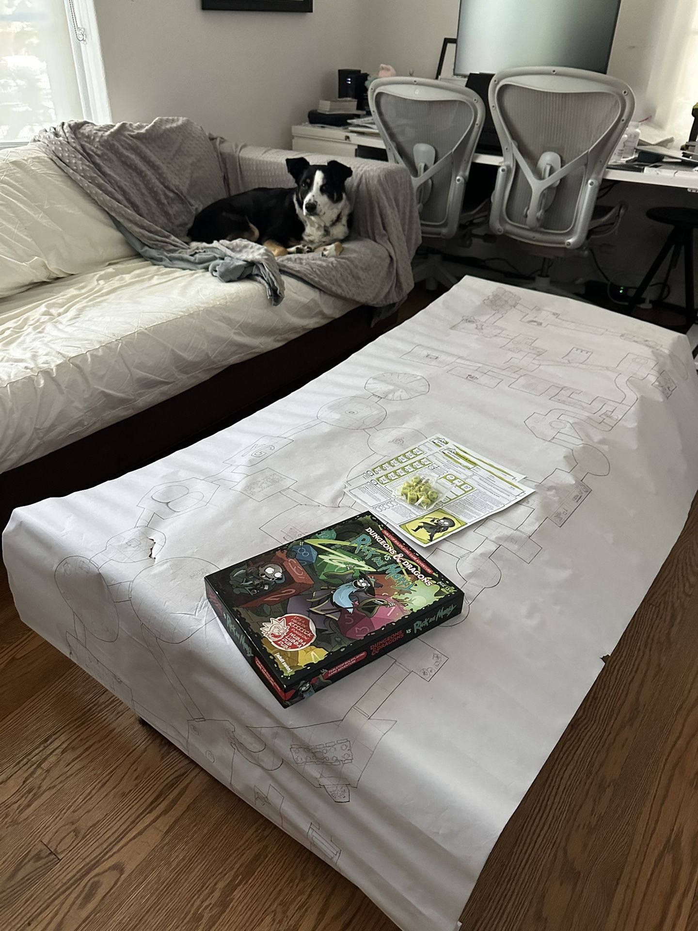 Rick and Morty Dungeons and Dragons + Map