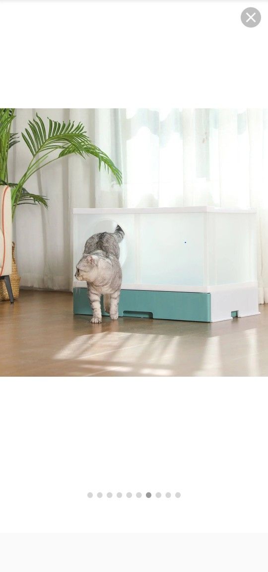 Litter Box Enclosed