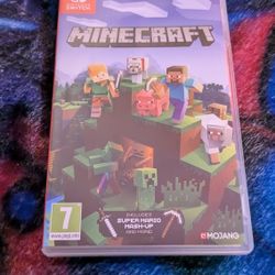 Minecraft Nintendo Switch game