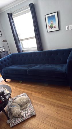 Blue velvet ikea couch