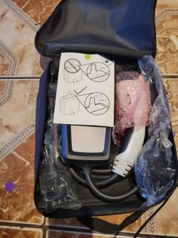 Mustang mach E new car charger