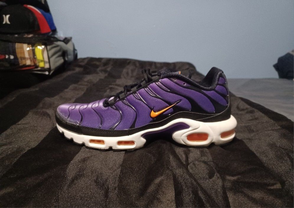 Brand New And Original Men's Nike Air Max's TN Sneakers Size 10