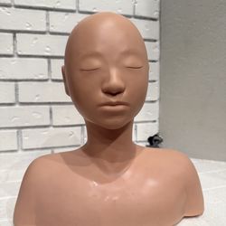 Professional Practice Training Mannequin Head Model