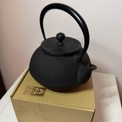 Cast Iron Japanese Tea Pot 