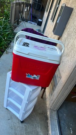 Igloo family cooler