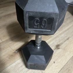 65 Lbs Dumbbell (it's just one)