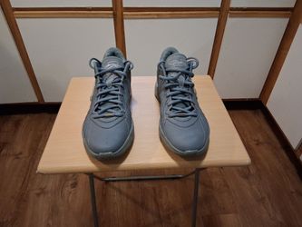 Men's LeBron James  XXL ep cool gray brand new size 13