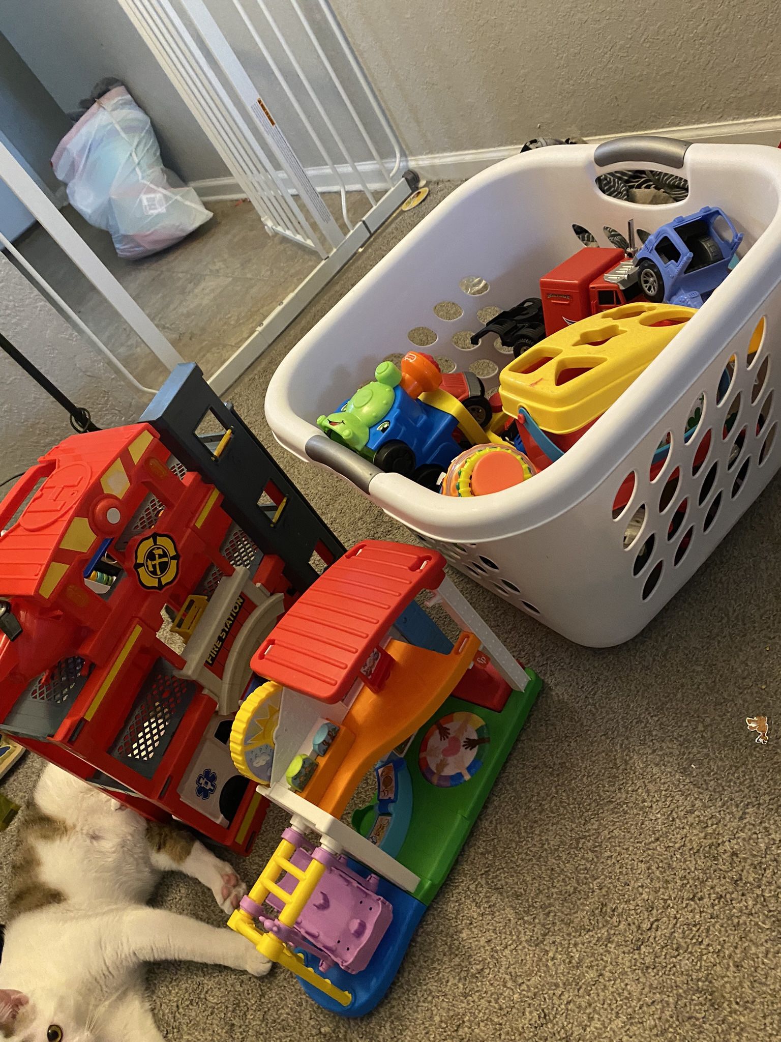 Toddler Toys