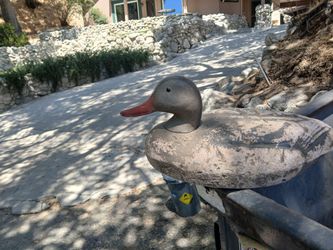 Vintage decoy ducks