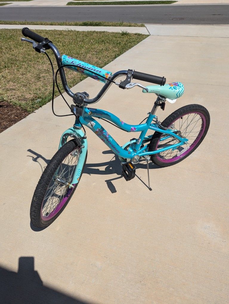 Schwinn Deelite 20" Kids' Bike
$50