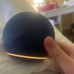 Alexa Echo Dot -555